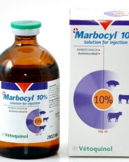 Marbocyl 10% 100ml