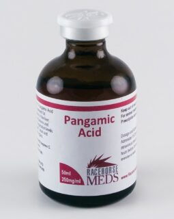 pangamic acid