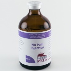No Pain 100ml Panacin ®