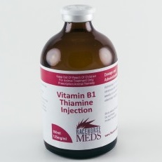 Vitamin B1 Thiamine 125mg/ml 100ml